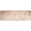 Gres porcel&aacute;nico Amazonia rectangle Estudio Ceramico Coral E234941
