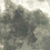 Papeles pintados panor&aacute;mico Storm Texturae Pewter TXWR17367