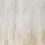 Papeles pintados panor&aacute;mico Roots Texturae Beige TXWF19649