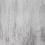 Papeles pintados panor&aacute;mico Roots Texturae Grey TXWF19650