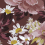 Papeles pintados Berry Floral Artwallz Paris Grenat ART000142490