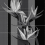 Papeles pintados panor&aacute;mico Strelitzia Londonart Noir 21012-06
