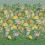 Papeles pintados panor&aacute;mico Fleurs d'Artistes Designers Guild Vintage Green PDG1170/01