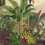 Papeles pintados panor&aacute;mico Reverie Tropicale Arte Jungle Green 26770