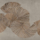 Papeles pintados panor&aacute;mico Diving Moment Coordonn&eacute; Beige A00944_01