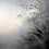 Papeles pintados panor&aacute;mico Pampas dans la Brume Koziel Noir Blanc CUST-BRUM03