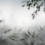 Papeles pintados panor&aacute;mico Or&eacute;e de For&ecirc;t dans la Brume Koziel Noir Blanc CUST-BRUM05