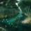 Papeles pintados panor&aacute;mico Rain Forest Yo2 Forêt IF1.05.2 FF