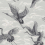 Papel pintado Imperial Ibis Coordonn&eacute; Swan B00134