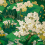 Papel pintado Yu Garden Coordonn&eacute; Emerald B00148
