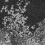Papeles pintados panor&aacute;mico Hiyoku Londonart Noir KMN02 C