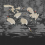 Papeles pintados panor&aacute;mico Tabi Londonart Noir KMN03 C