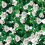 Papeles pintados panor&aacute;mico Eyes & rosas Londonart White 11TP-02