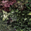 Papeles pintados panor&aacute;mico Jardin verdeical Koziel Crépuscule CUST-LPV069