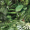 Papel pintado Jungle Urba&ntilde;oe Rond Koziel Jungle CIRC-LPV017