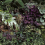 Papeles pintados panor&aacute;mico Jardin verdeical Koziel Feuillage CUST-LPV068