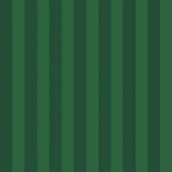 Tela Outdoor Courtside Stripe
