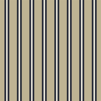 Tela Outdoor Cricket Stripe
