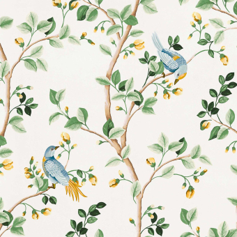 Tela Birds Prosperity