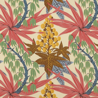 Tela Valley Lily