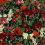 Papeles pintados panor&aacute;mico Wintergarden Rebel Walls Red R20162