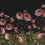 Papeles pintados panor&aacute;mico Sweet Buttercups Rebel Walls Midnight R18693