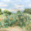 Papeles pintados panor&aacute;mico rosas tr&eacute;mi&egrave;res Isidore Leroy Prairie 6262900