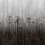 Papeles pintados panor&aacute;mico Autumn Haze Rebel Walls Black and White R18854