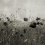 Papeles pintados panor&aacute;mico Poppy Field Rebel Walls Vintage R18870
