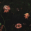 Papeles pintados panor&aacute;mico Romantic Garden Rebel Walls Night R18971