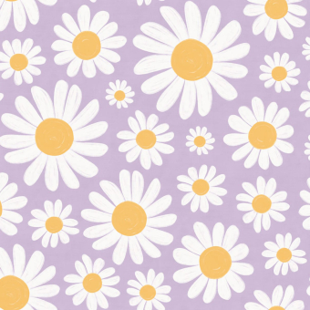 Papeles pintados panorámico Dashing Daisies