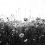 Papeles pintados panor&aacute;mico Poppy Field Rebel Walls Black and White R18871