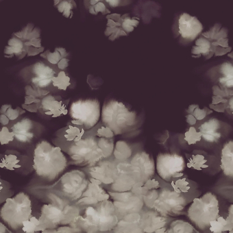 Papel pintado Faded Dreams