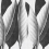 Papeles pintados panor&aacute;mico The Queen Londonart Dark Grey 17501-03