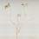 Papeles pintados panor&aacute;mico Freesia Tenue de Ville Naturel ALC-240503