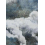 Papeles pintados panor&aacute;mico U&ntilde;asds Coordonn&eacute; Night /6800704N 200x280