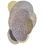 Alfombras Expansion By Alix Walinoe Pinton Beige PF2-014-180x250