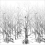Papeles pintados panor&aacute;mico For&ecirc;t enchant&eacute;e Isidore Leroy Gris 6241604