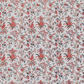 Tissu Carbono