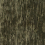 Velours Icaria Sanderson Birch DICA232918