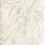 Tissu Thank You for Sending me an Angel Dedar Shiro 00T2501700004