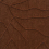 Tissu Script Dedar Tabacco 00T2502000001