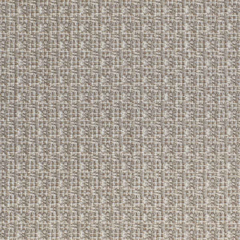 Tissu Curiosity