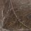 Rev&ecirc;tement mural N&eacute;nuphar Sauvage CMO Paris Écorce CMO WNE 02 75