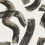 Papel pintado Malevich Clarke and Clarke Noir W0227/04
