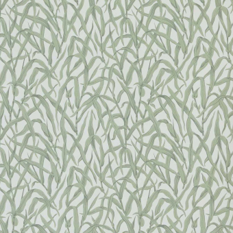 Papier peint Ornamental Grasses