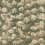 Tissu Iliad Zoffany Moss ZBOL322620