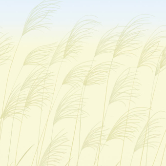 Papel pintado panorámico Miscanthus