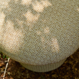 Tela Linden