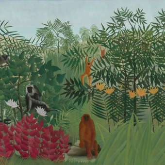 Papel pintado Tropical Forest with Monkeys